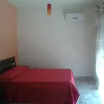 Driade Hotel 3*