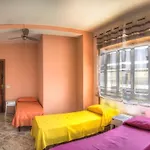 Driade Hotell 3*